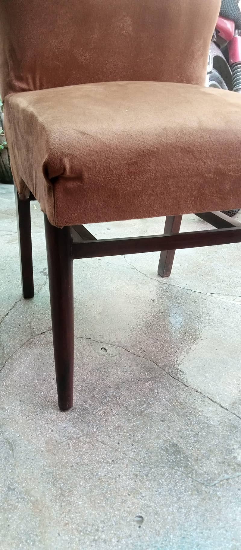 dining chairs 1