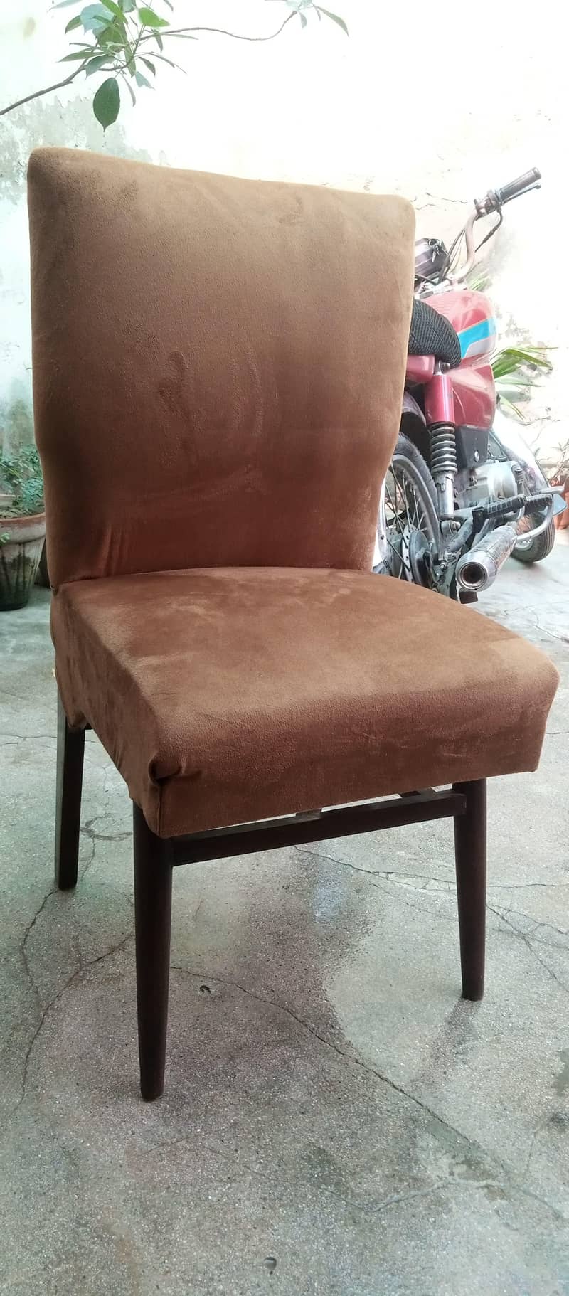 dining chairs 2