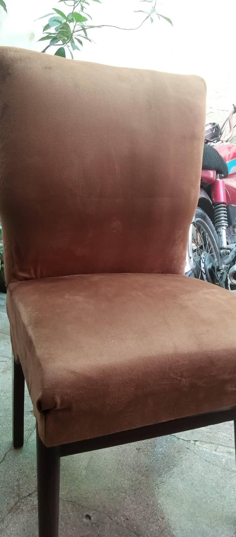 dining chairs 3