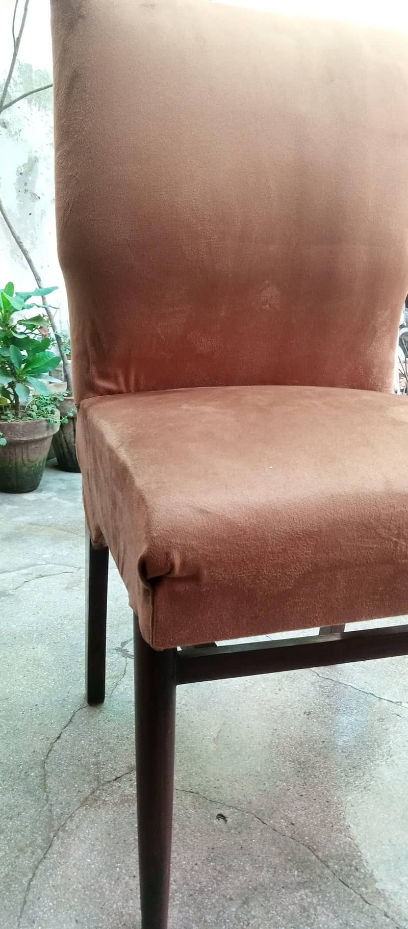 dining chairs 4
