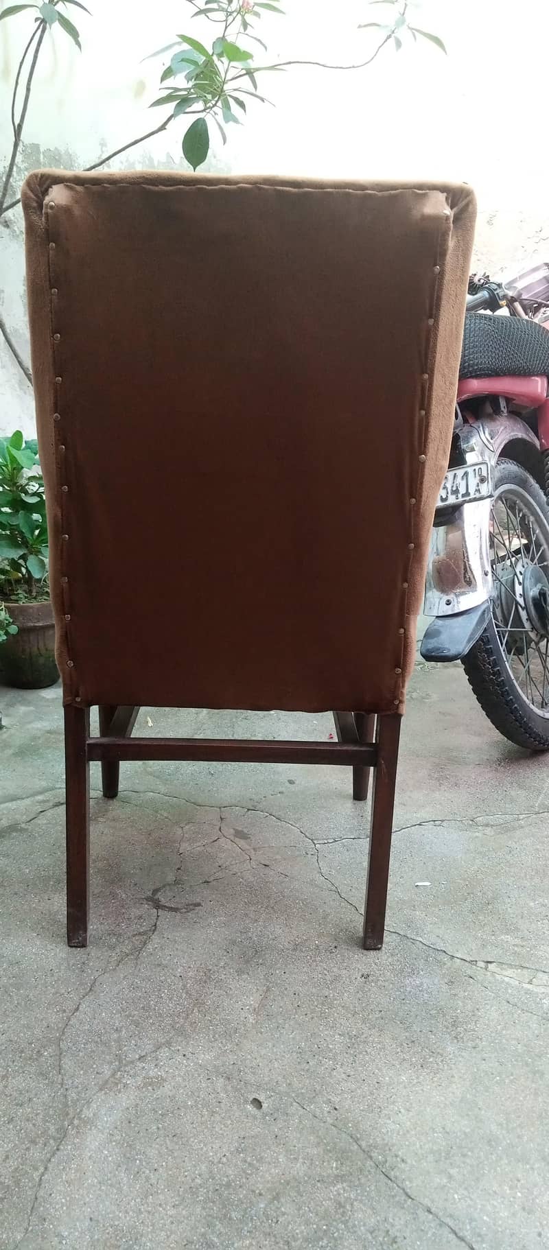 dining chairs 5