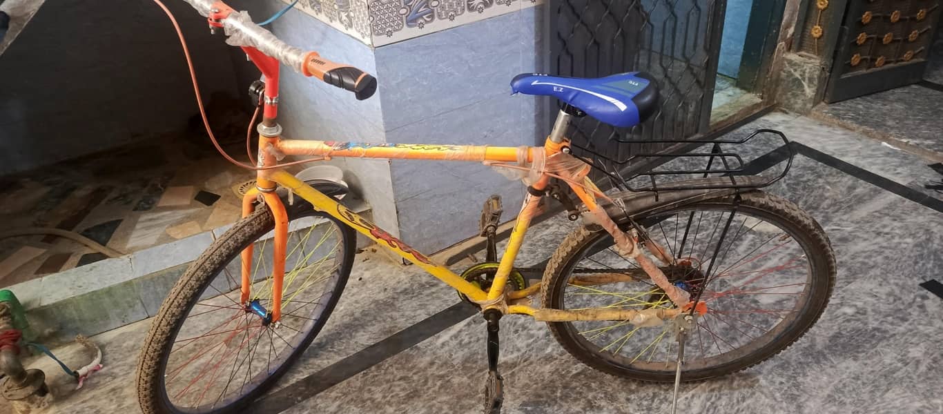 Phoenix Cycle 0