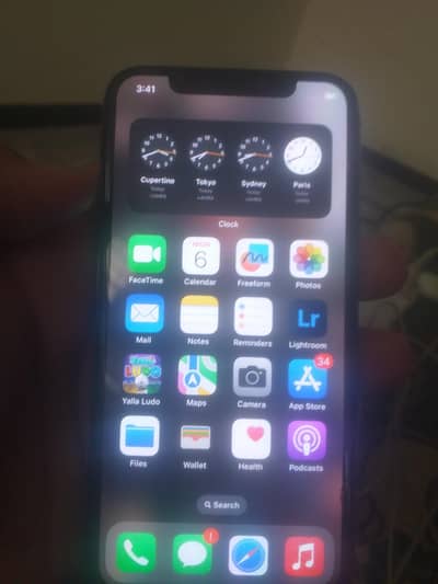 Apple iPhone X