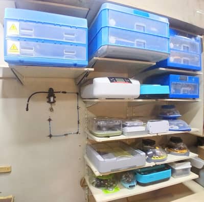 Eggs Incubator Hatching Machines, Brooders & Other Poultry Equipments