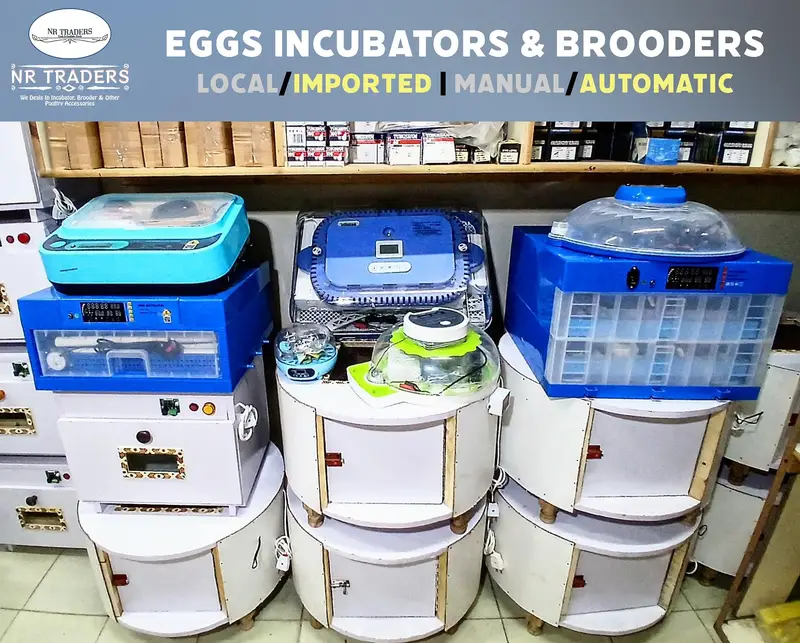 Eggs Incubator Hatching Machines, Brooders & Other Poultry Equipments — photo 2