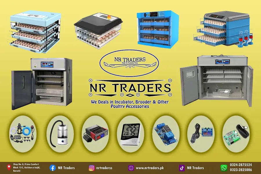 Eggs Incubator Hatching Machines, Brooders & Other Poultry Equipments — photo 6