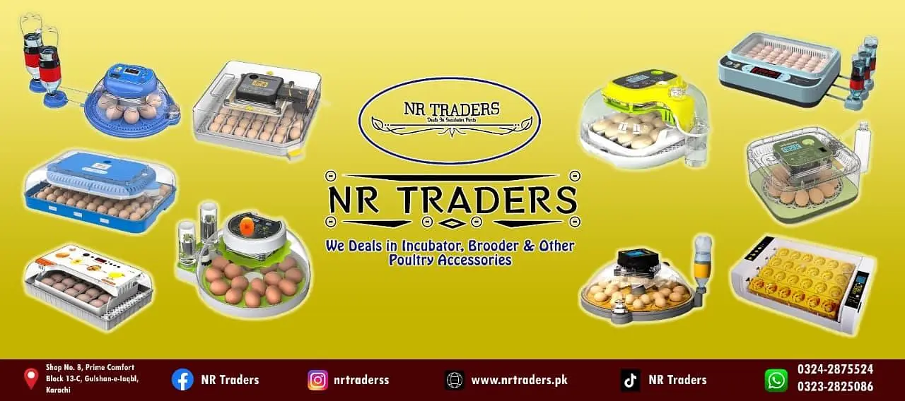 Eggs Incubator Hatching Machines, Brooders & Other Poultry Equipments — photo 7