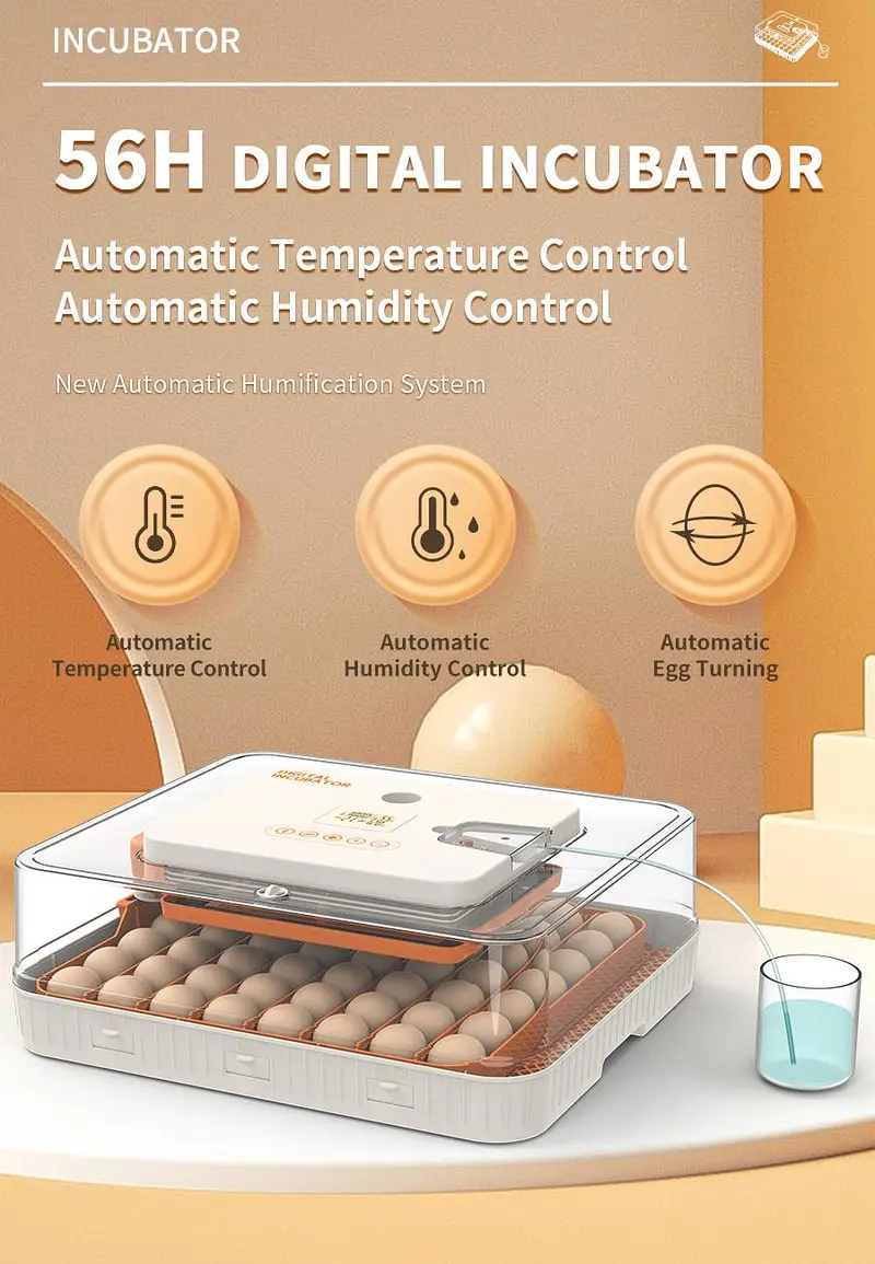 Eggs Incubator Hatching Machines, Brooders & Other Poultry Equipments — photo 10