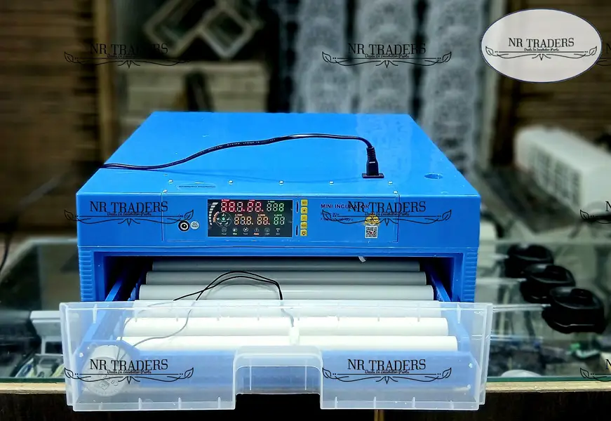 Eggs Incubator Hatching Machines, Brooders & Other Poultry Equipments — photo 11
