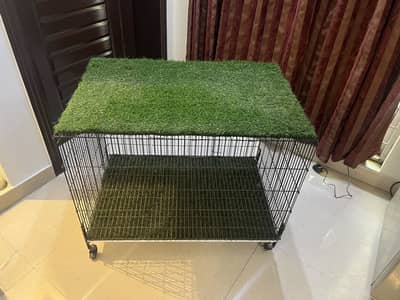 Iron cage for dog