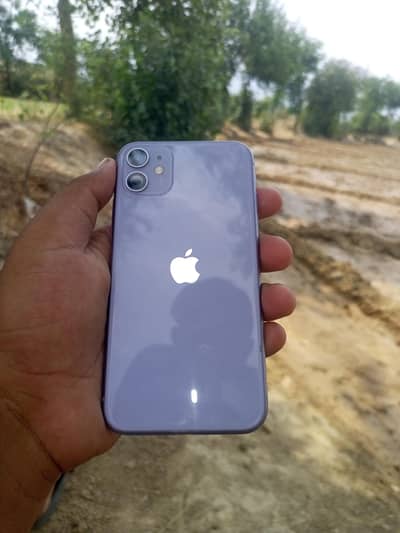 Apple iPhone 11