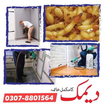 Termite Control and Dengue Spray in Lahore