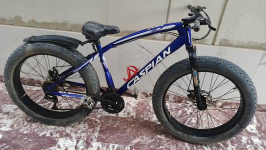 Fat tyre bicycle