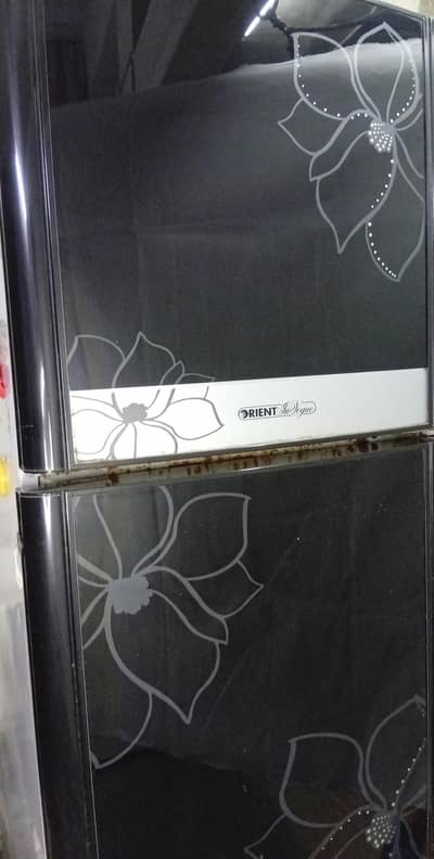 Orient InVogue Refrigerator