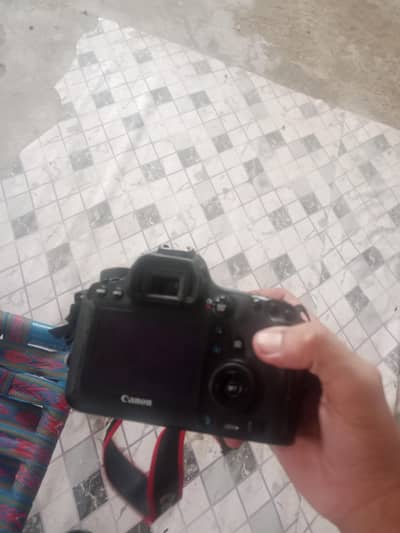 Cannon 6D full frame with 24/105