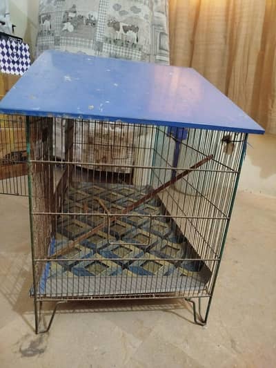 Bird cage