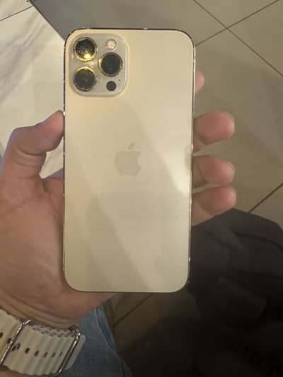 Apple iPhone 12 Pro Max