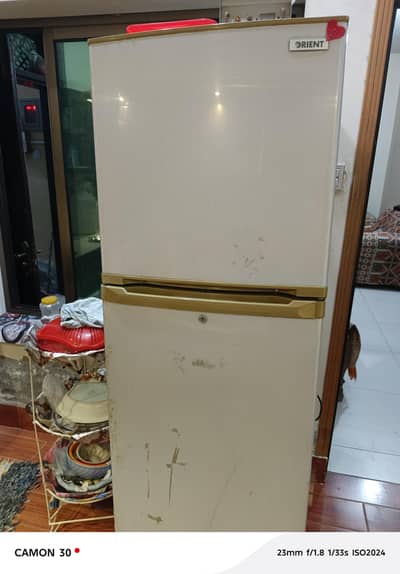 Medium size Oreient freezer