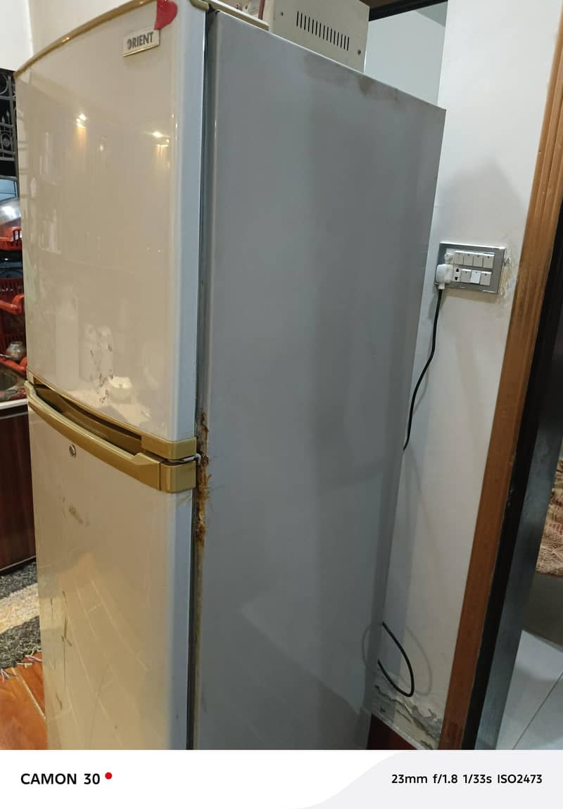 Medium size Oreient freezer 1