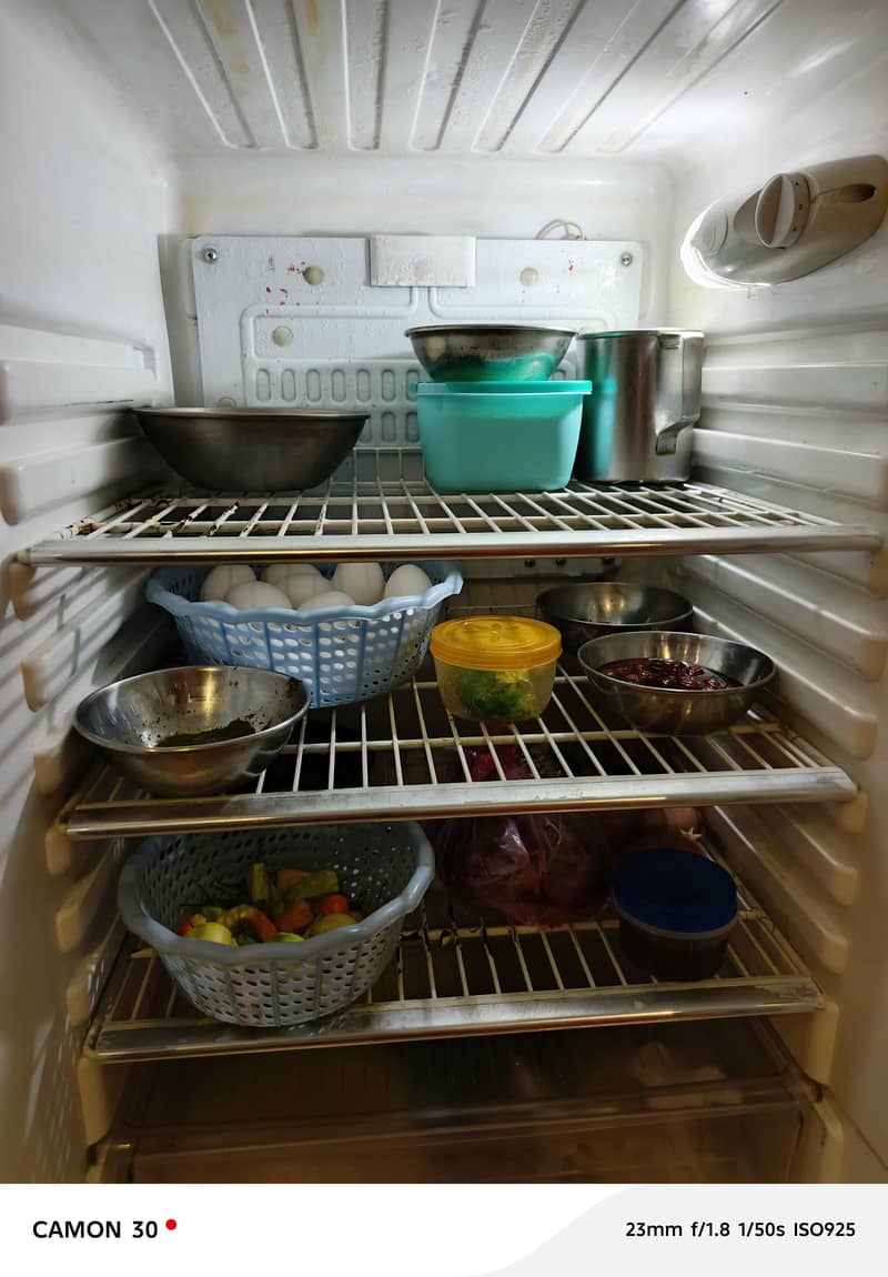 Medium size Oreient freezer 2
