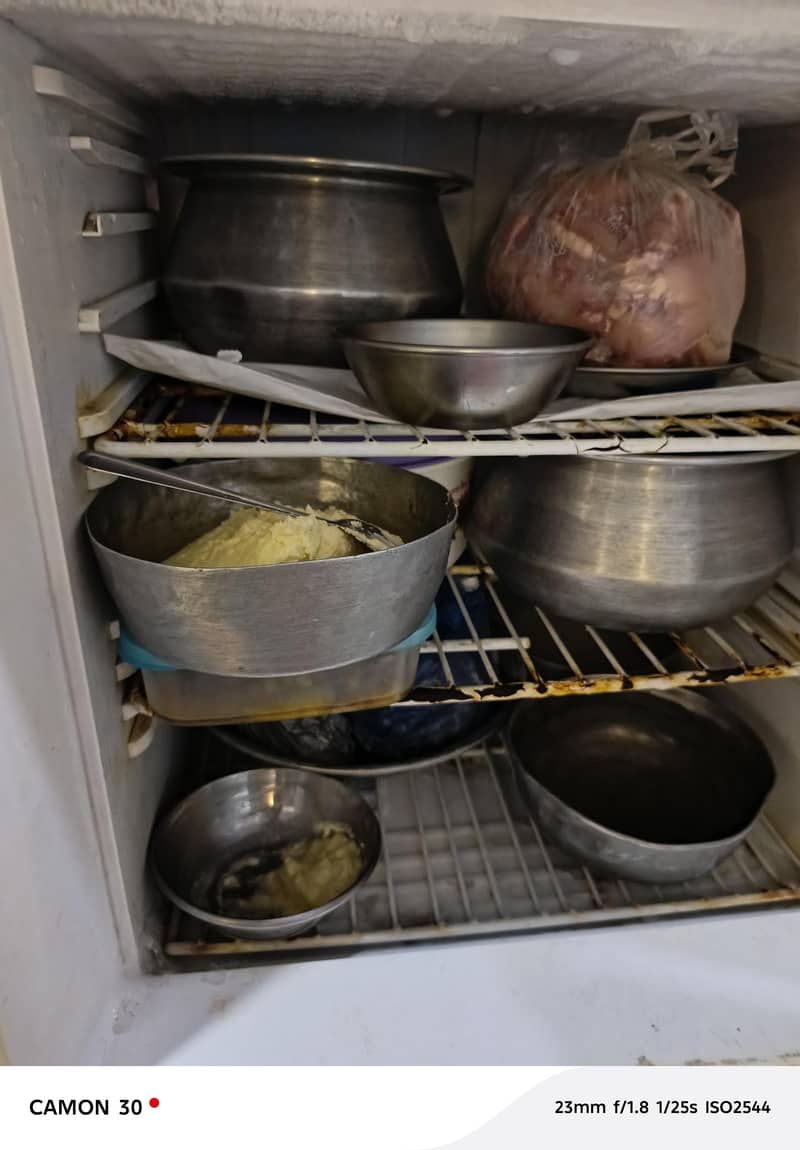 Medium size Oreient freezer 3
