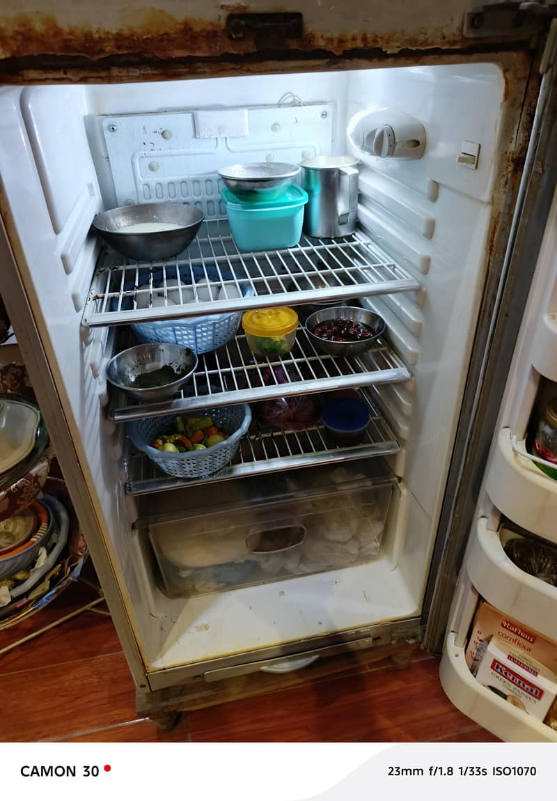 Medium size Oreient freezer 4