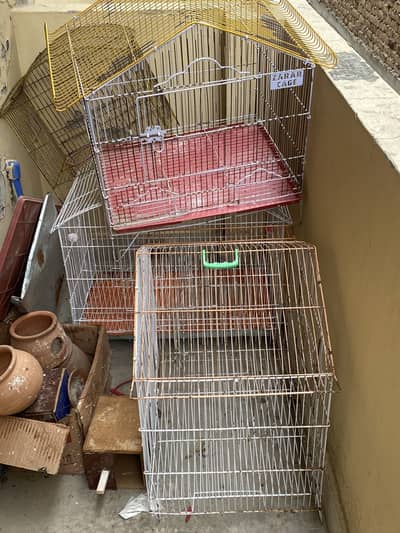 Parrots hens pigeons cages for sell