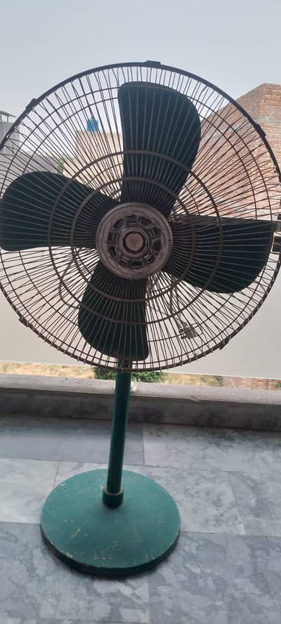 fan available for sale big size