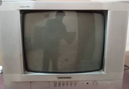 Nobel TV  Available
