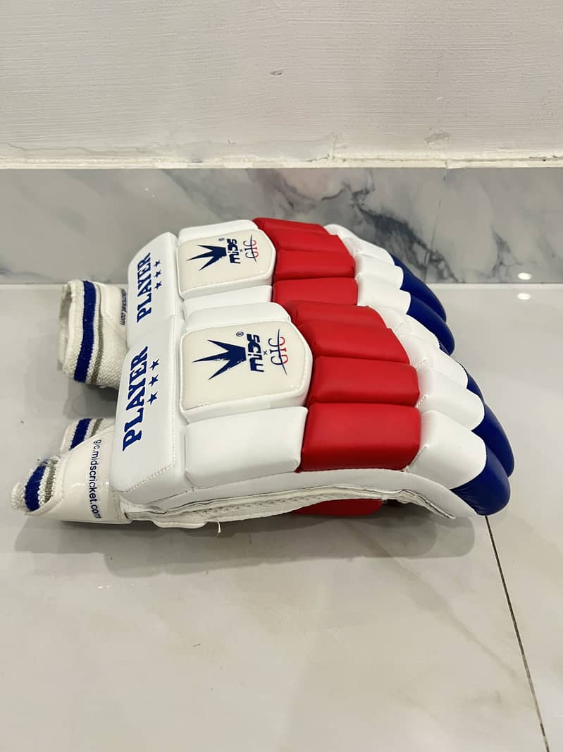 Full cricket kit 10