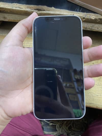 iPhone 12