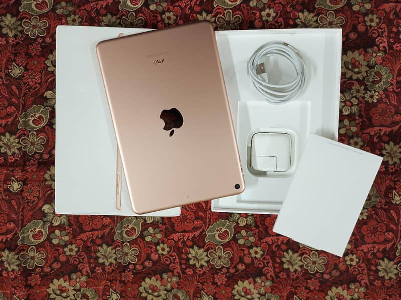 iPad Mini 5 1