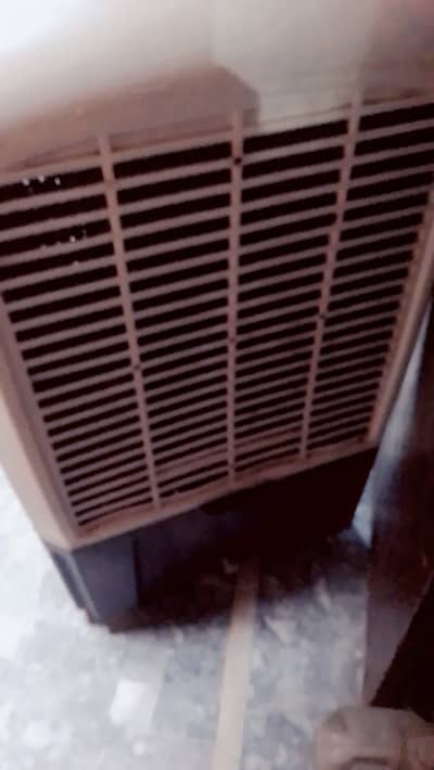 Air cooler