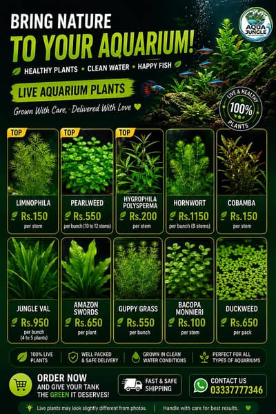 Aquarium Plants