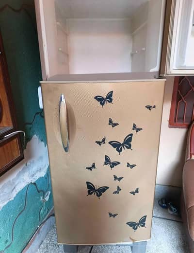 hair refrigerator