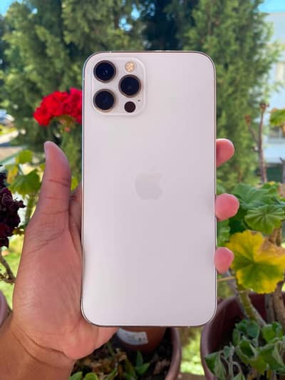 Apple iPhone 12 Pro