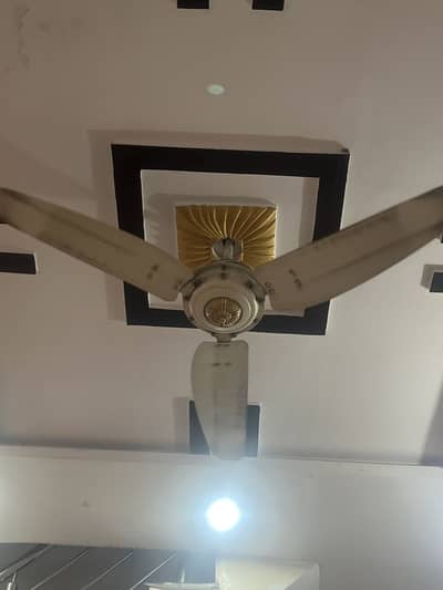 Ceiling Fans