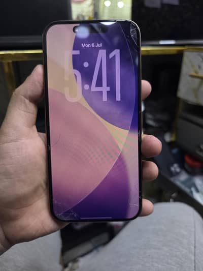Apple iPhone 16 Pro Max