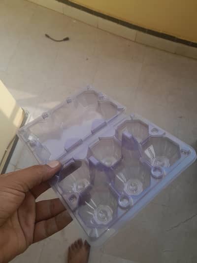 6 & 12 Egg Plastic Trays – New Condition
