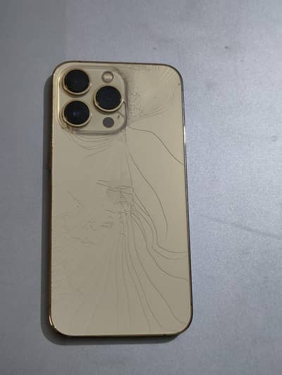 Apple iPhone 13 Pro