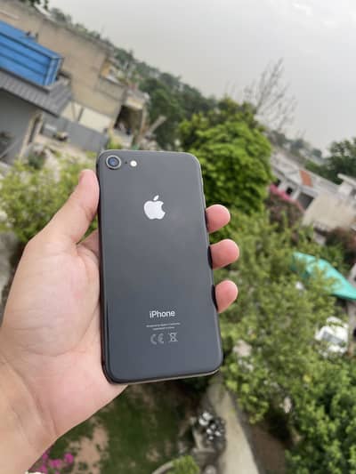 Iphone 8 pta approved