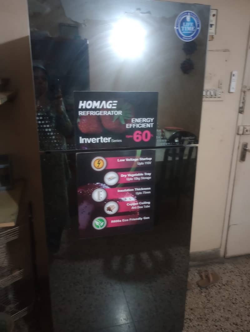 Fridge 2