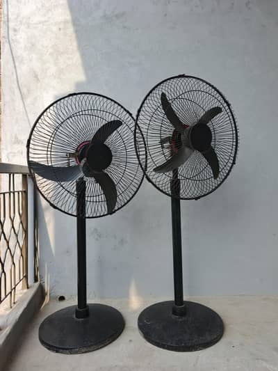 12V DC FANS