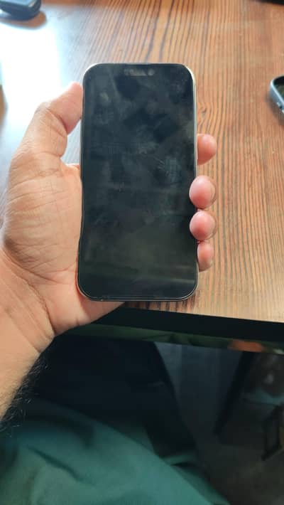 Apple iPhone 16 Pro