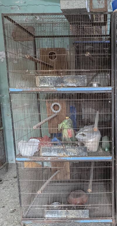 Cages For Parrots , Used , available for sale