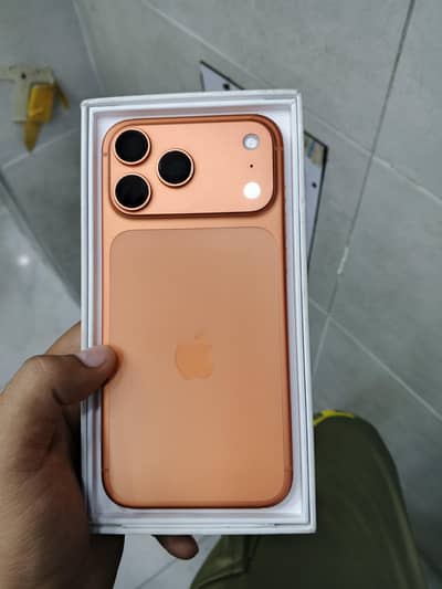17 pro max