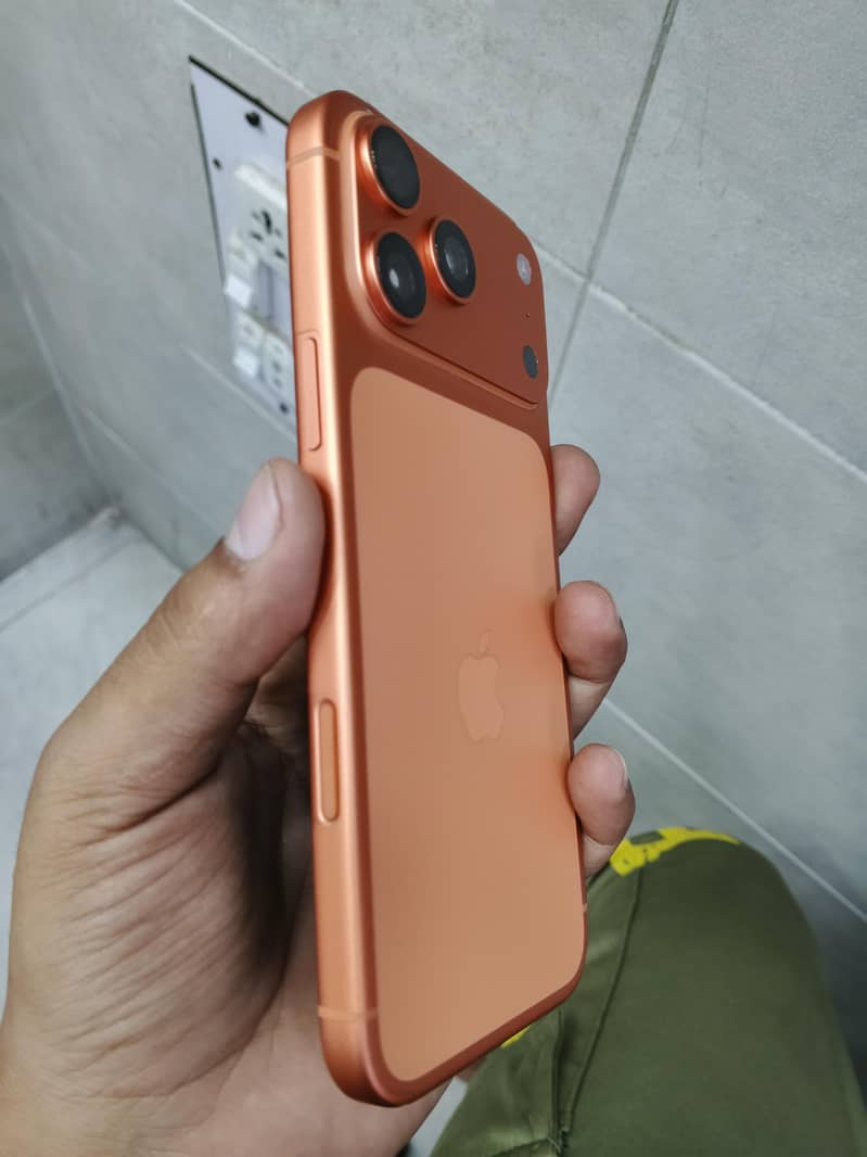 17 pro max 1