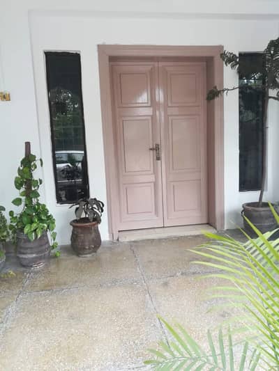 Front Door with handle and hinges (Dayyar wood frame)