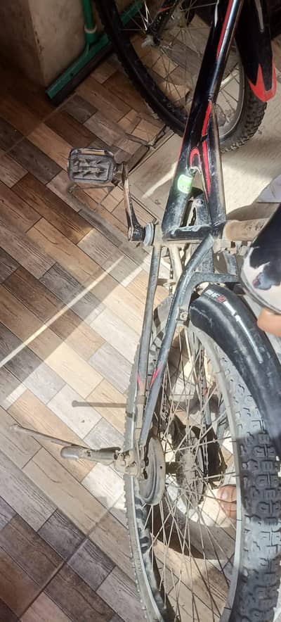 bridge stone original and geniune cycle EX MODEL
