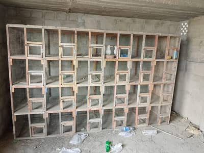 Big  cage for birds breeding